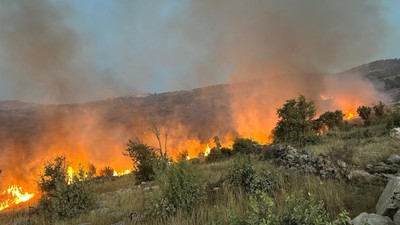 Gabar Dağı'ndaki orman yangını 11 saatte kontrol altında
