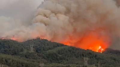 Hatay'daki orman yangınıyla ilgili 1 kişi gözaltına alındı
