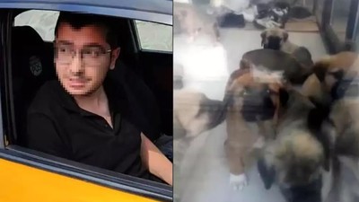 Köpekleri tecavüz edip öldürmekle suçlanan doktor: Evde zevk olarak yaptıklarım kimseyi ilgilendirmez