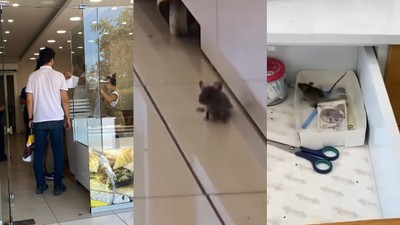 Fare görüntüleri ile gündeme gelen baklavacının ürünlerine el konuldu