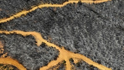 Uşak'ta orman yangınından etkilenen alanlar havadan görüntülendi