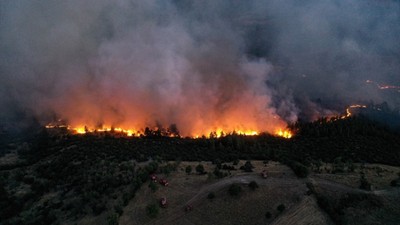 Bursa-Balıkesir sınırında orman yangını: İki mahalle boşaltıldı