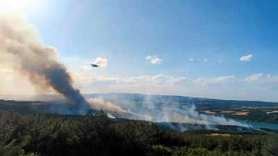 Tekirdağ Şarköy'de orman yangını