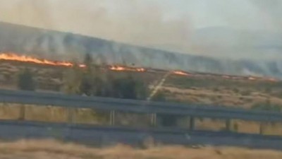 Aliağa’da otluk alanda yangın