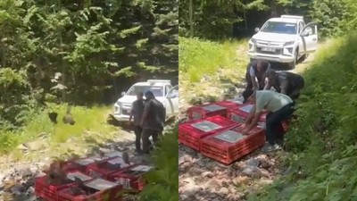 Bursa'da kene ile mücadele timleri doğaya salındı