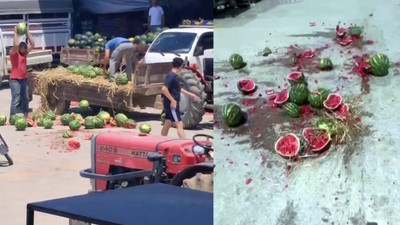 Karpuz parçalayan 2 üreticinin başı yandı! Fahiş ceza geliyor