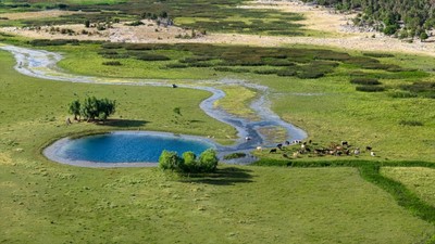Küresel sulak alan kaybının ekonomik bedeli 2050'ye kadar 39 trilyon doları bulabilir
