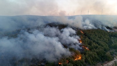Tekirdağ'da çıkan orman yangını Çanakkale'ye sıçradı! Felaket gün ağarınca ortaya çıktı