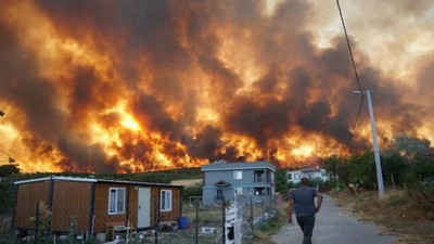 Tekirdağ'da çıkan orman yangını Çanakkale'ye sıçradı! Felaket gün ağarınca ortaya çıktı