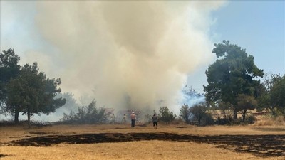 Çanakkale'deki orman yangını kontrol altına alındı