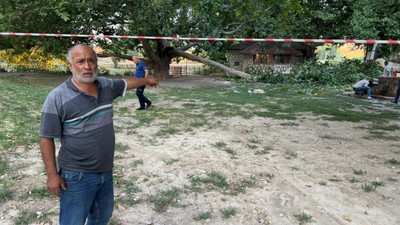 Dev ağaç dalı piknik yapan 11 kişiyi yaralandı!