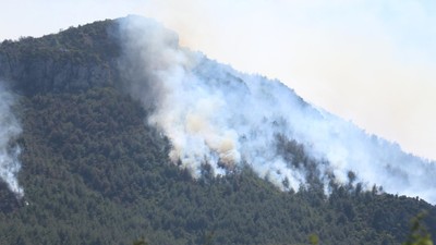 Sakarya'da ormanlık alanda çıkan yangın Bilecik'e ulaştı