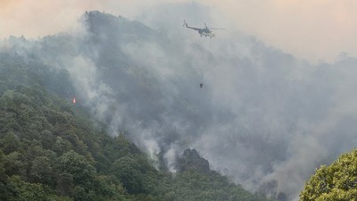Sakarya'da ormanlık alanda çıkan yangına ilişkin 1 şüpheli tutuklandı
