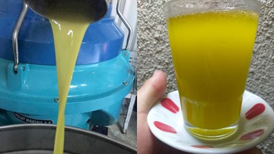 Mut zeytinyağı AB tarafından tescillendi