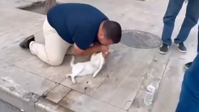 Kediyi, suni teneffüs ve kalp mesajıyla kurtarmaya çalıştı
