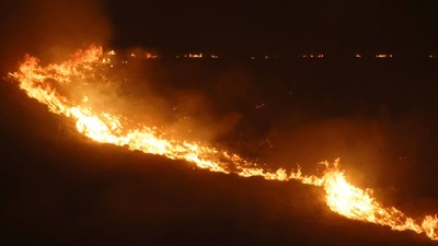 Orman yangınlarıyla ilgili 3 kişi tutuklandı