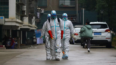 Çin'de 7 binden fazla kişide "chikungunya" virüsü vakası tespit edildi