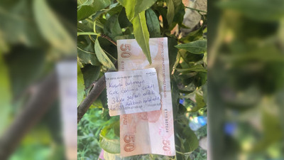 İnsanlık ölmemiş dedirten hareket: 3 meyve aldı parasını dalına bıraktı