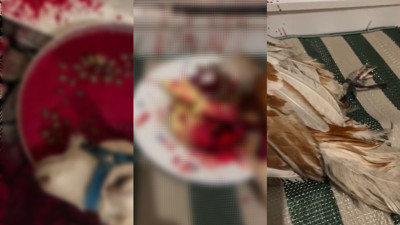 Şaman ayini için evinde keçi ve horoz kesen şüpheli tutuklandı