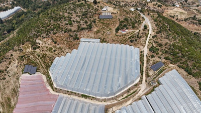 Antalya'da Tropikal Meyve Bahçelerine Güneş Enerjisi Santrali Kuruldu
