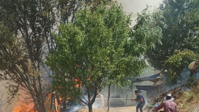 Malatya'da Orman Yangınına Müdahale Devam Ediyor