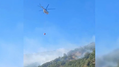 Malatya'da orman yangını 21 saat sonra kontrol altına alındı