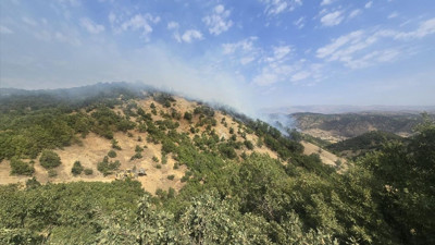 Bingöl'de Orman Yangınına Hızla Müdahale Ediliyor