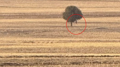 Silopi'de bir kişi boş arazide ölü bulundu