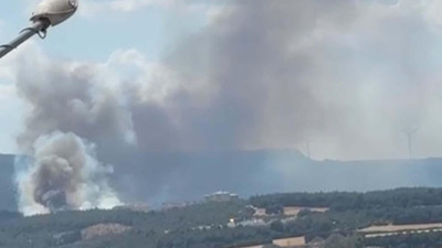 Çanakkale’de orman yangını