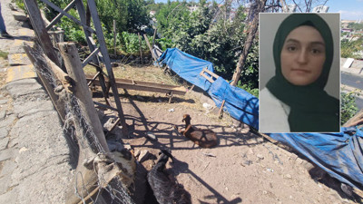 Diyarbakır'da yerde hareketsiz yatan keçiye dokunan genç kız hayatını kaybetti