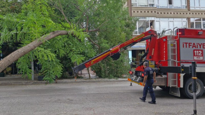 Samsun'da Devrilen Ağaç Park Halindeki Otomobile Zarar Verdi