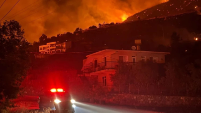 OGM'den orman yangınlarına ilişkin açıklama