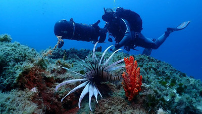 Kuşadası derinliklerinde sıra dışı bir dünya