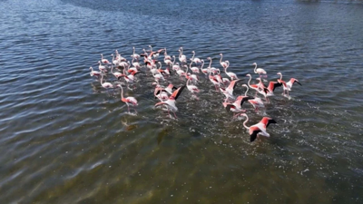 İzmir’de sonbahar büyüsü! Lagün ve orman renk cümbüşüne döndü
