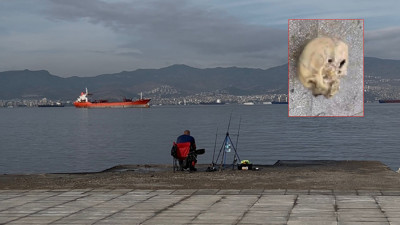 Balıkçının oltaaına insan kafatası takıldı