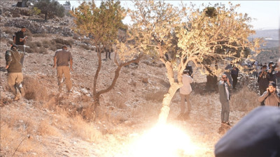 İsrail askerlerinden zeytin hasadına silahlı müdahale: Filistinli çiftçilere ateş açıldı