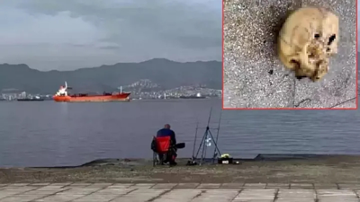 İzmir’de oltaya takılan kafatası: Yeni görüntüler ortaya çıktı