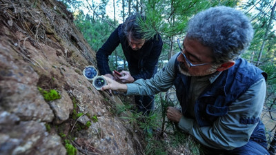 Sındırgı'daki saha araştırmasında gözle görülür fark: Ölü faylar uyandı