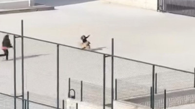 Okul bahçesinde başıboş köpek paniği! O anlar kamerada