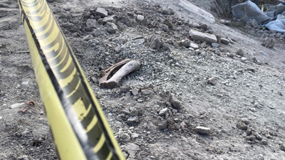 Burdur'da belediyenin kazı çalışması sırasında insan kemikleri bulundu
