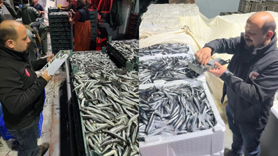 Sinop'ta hamsi denetimleri