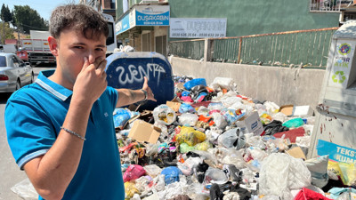 İzmir'de çöp krizi sinek istilasına dönüştü, şehir dört koldan ilaçlanıyor