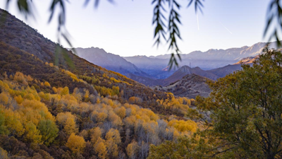 Tunceli'nin gizli cenneti: Salördek Ormanları