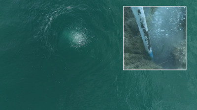 Sapanca Gölü neden kaynıyor? Uzmanlar bölgeye akın etti