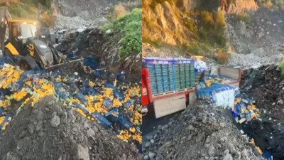 Sarp Sınır Kapısı’nda 6 ton mandalina imha edildi: Zirai ilaç kalıntısı tespit edildi