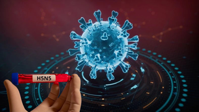 H5N5 paniği: Dünyada ilk kez can aldı!