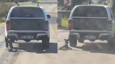 Milas'ta kamyonete bağlanarak sürüklenen köpek öldü; 2 gözaltı