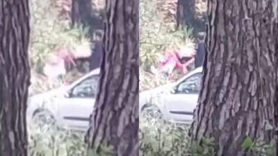 İzmir’de ormanlık alanda kadına şiddet