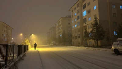 Van beyaza büründü