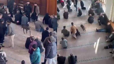 Camiye giren pitbull yakalandı, sahibine işlem yapıldı